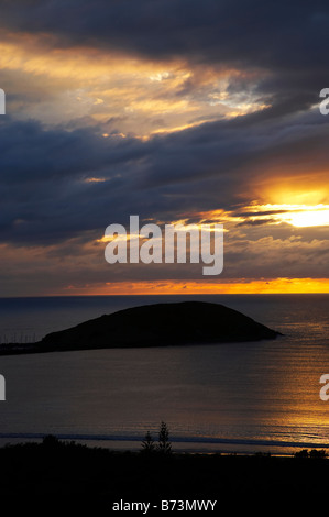 Sonnenaufgang über Coffs Harbour und Muttonbird Island New South Wales Australien Stockfoto