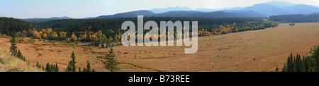 Panorama Sibbald Wohnungen in Kananaskis Country, Alberta Stockfoto