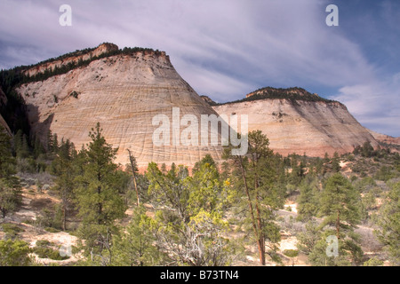 Checkerboard Mesa im Zion Nationalpark, Utah Stockfoto