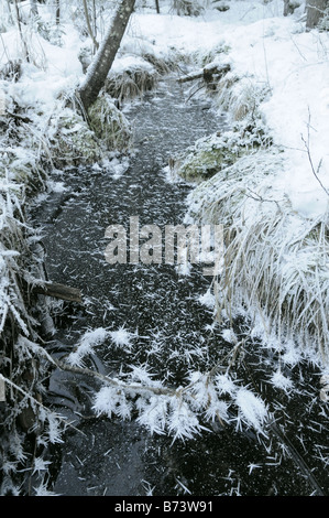 Bach in der Nähe von Oslo in Norwegen Winter eingefroren Stockfoto