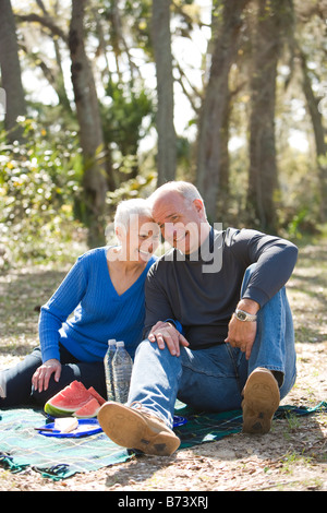 Älteres Paar mit Picknick im Park, Lächeln Stockfoto