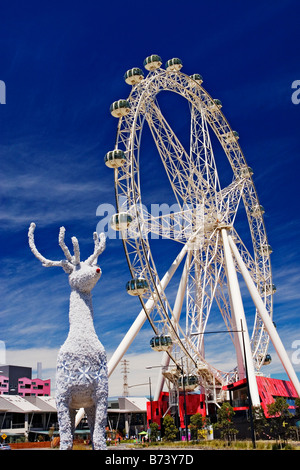 Melbourne Sehenswürdigkeiten / "Die südlichen Sterne Riesenrad" Melbourne Victoria Australien. Stockfoto