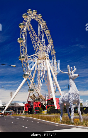 Melbourne Sehenswürdigkeiten / "Die südlichen Sterne Riesenrad" Melbourne Victoria Australien. Stockfoto