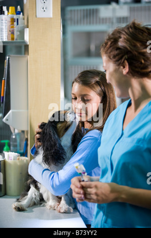 Junges Mädchen mit Hund in der Tierklinik neben Tierarzthelferin Stockfoto