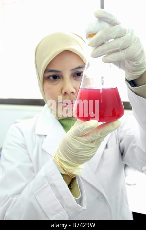 Wissenschaftler-Frau arbeitet in der Cibinong Science Center, Indonesien Stockfoto