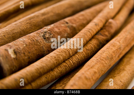 Extra lange Zimt-sticks. Anders als die billig-Sticks erhalten Sie, handelt es sich viel länger und mehr natürlich aussehende. Stockfoto