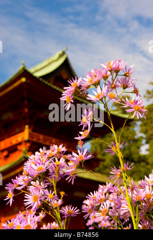 Detail der Daimon, das große Tor in Koyasan, Wakayama, Japan. Stockfoto