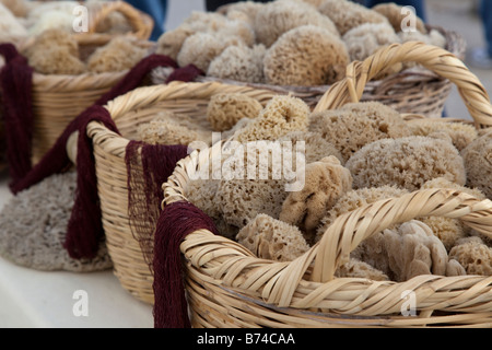 Körbe mit natürlichen Meeresschwämmen der Tiefsee zum Verkauf in Zypern. Mediterrane Seidenmeerschwämme, die nur im Mittelmeer und in der Ägäis beheimatet sind. Stockfoto