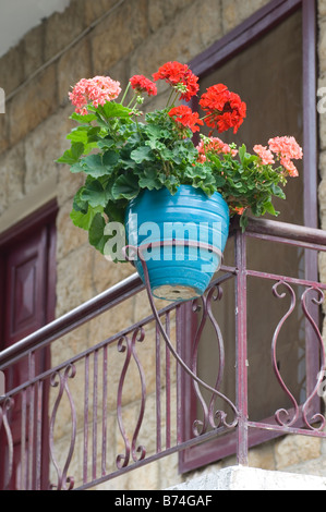 Blaue Blumentopf auf Balkon Libanon Nahost Stockfoto