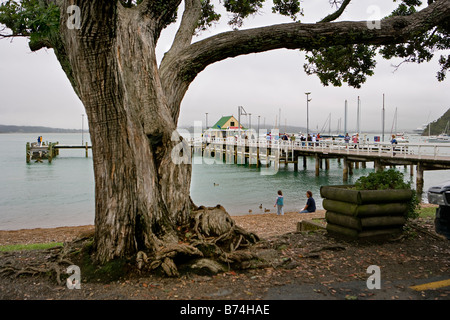 Neuseeland, Nordinsel, Paihia, Bay of Islands, Russell, Hafen und Fähranleger. Stockfoto