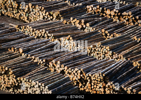 Neuseeland, Südinsel, Picton, Holz im Hafen. Stockfoto