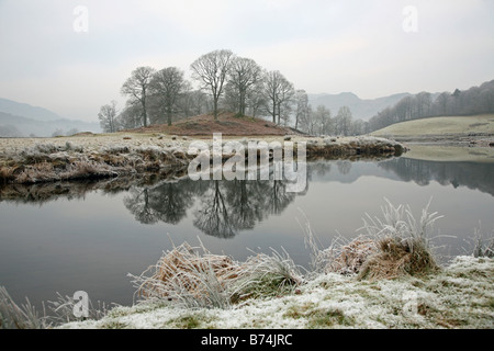 Winter im Lake District, mit Frost und Bäume im Wasser gespiegelt Stockfoto