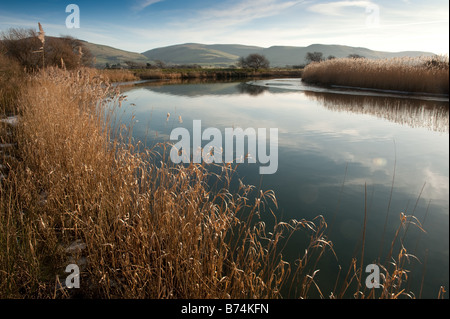 Der Fluss Dysynni in der Nähe von Tywyn Gwynedd Snowdonia Nord-Wales kalten Winternachmittag Stockfoto