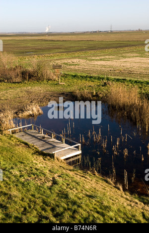 Welney Wetland Centre Norfolk England Stockfoto