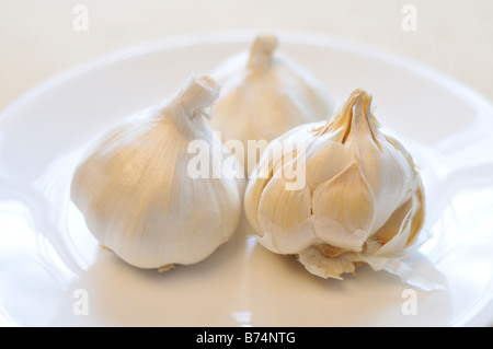 3 "Knoblauch Zwiebeln" mit Nelken auf weißen Teller ausgesetzt Stockfoto