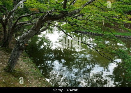 Todai-Ji Park, Nara JP Stockfoto