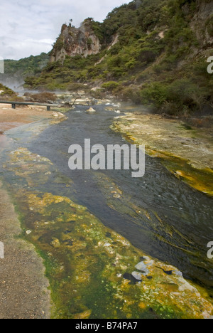 Cathedral Rocks und Waimangu Geysir im Waimangu Volcanic Valley in der Nähe von Rotorua, Neuseeland Stockfoto