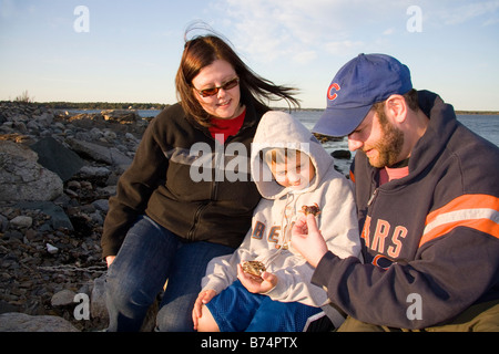 Familie Blick auf eine grüne Krabbe im Odiorne Point State Park in der Nähe der Küste Science Center am Roggen New Hampshire USA Stockfoto