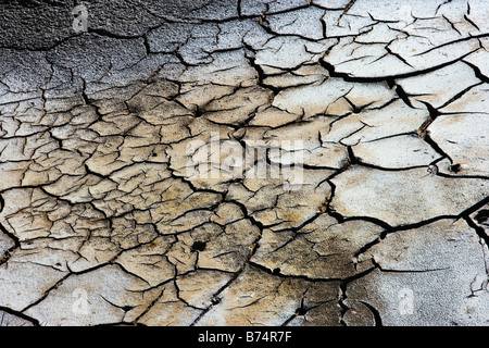 Neuseeland, Nordinsel, Waiotapu, Thermalbereich. Rissige Erde. Stockfoto