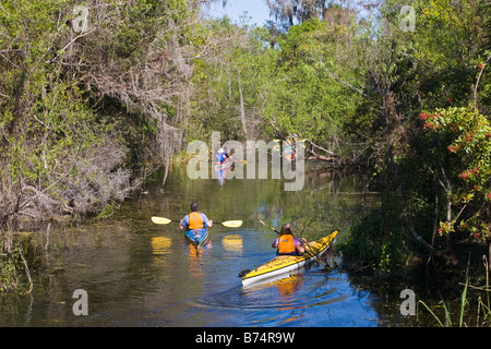 Kajakfahren in der Turner-Fluss im Big Cypress National Preserve in FLorida Stockfoto