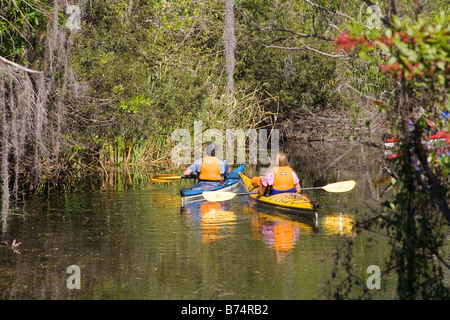 Kajakfahren in der Turner-Fluss im Big Cypress National Preserve in FLorida Stockfoto