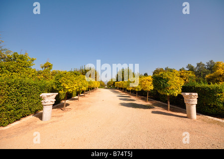 Israel Tel Aviv Hayarkon Park Stockfoto