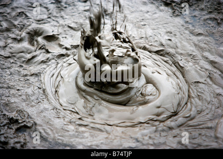 Neuseeland, Nordinsel, Waiotapu, Thermalbereich. Brodelnde Schlamm. Stockfoto