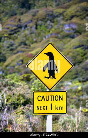 Neuseeland, Südinsel, Punakaiki, Vorsicht: Pinguine. Stockfoto