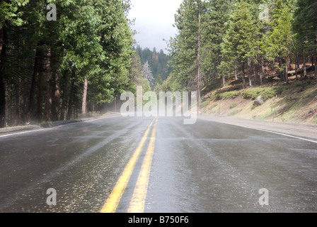 Nebligen Straße zum Yosemite Tal, Yosemite-Nationalpark Stockfoto