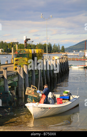 Entladung Hummerfallen in Manset, Southwest Harbor, Maine, USA Stockfoto