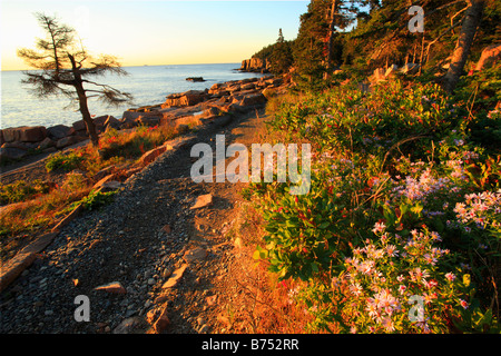 Sunrise, Ocean Trail, Otter Klippe, Acadia National Park, Maine, USA Stockfoto