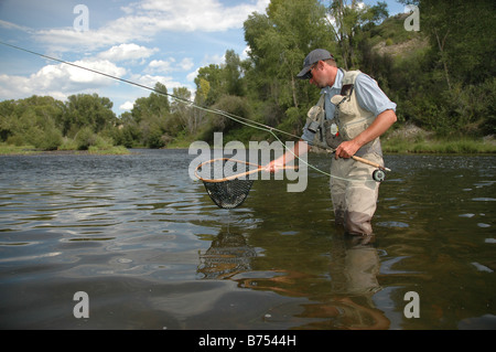 Ein Angler Fliegenfischen Netze sorgfältig eine Regenbogenforelle gefangen in den Colorado River in den Rocky Mountains, Grand County Stockfoto