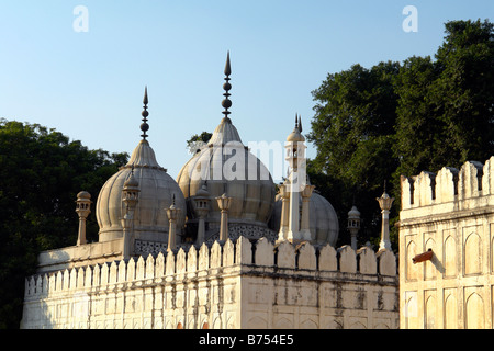 Perle Moschee oder Moti Masjid in roten fort Stockfoto