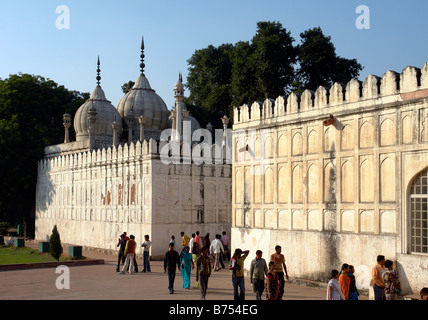 Perle Moschee oder Moti Masjid in roten fort Stockfoto