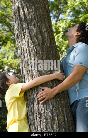 Mann und der junge halten Stamm des Baumes, schaute nach oben, Winnipeg, Kanada Stockfoto