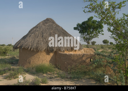 EINE BISHNOI DORF IN RAJASTHAN, INDIEN Stockfoto