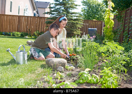 Frau und jungen arbeiten im Garten, Winnipeg, Manitoba, Kanada Stockfoto