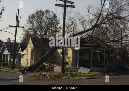 hölzerne einstöckiges Haus beschädigt durch umgestürzten Baum nach Hurrikan Katrina in den Vororten von New Orleans Stockfoto