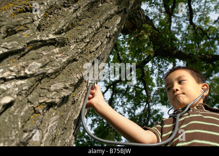 Sieben Jahre alter Junge mit Stethescope platziert auf Baum, Winnipeg, Kanada Stockfoto