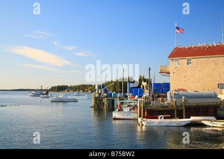 Hafen, Port Clyde, Maine, USA Stockfoto