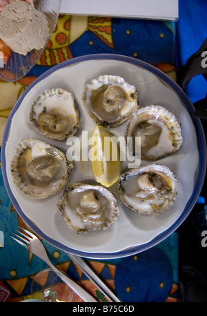 Austern und Zitrone auf Platte Mersea Essex English UK am Meer Fisch und Meeresfrüchte Stockfoto