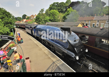 Die Sir Nigel Gresley A4 Klasse 4-6-2 Dampflok am Bahnhof Yorkshire Pickering. Stockfoto