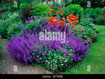 Eine bunte Sommer Blume Grenzübergang Abtei-Haus-Gärten Stockfoto