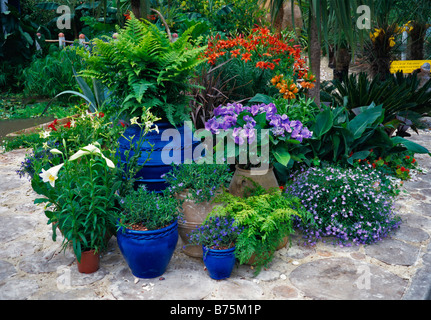 Sammlung von bepflanzten Töpfen in einem tropischen Garten Stockfoto