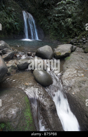 Crevisses Wasserfall oder La Cascade Aux Ecrevisses Wasserfall in Basse-Terre, Guadeloupe in der Karibik, Französische Antillen Stockfoto