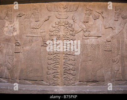 Der assyrische König Ashurnasirpal erscheint zweimal mit dem Heiligen Baum auf einem mit Gips behauenen Paneel Stockfoto