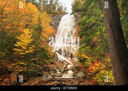 Arethusa Falls, Crawford Notch State Park, New Hampshire, USA Stockfoto