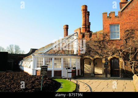 Konservatorium Gehäuse der großen Rebe Hampton Court Palace Surrey Stockfoto
