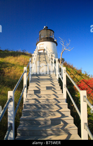 Eulen Kopf Licht, Eulen Kopf Staatspark, Rockland, Maine, USA Stockfoto