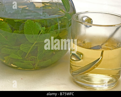 heißen Pfefferminztee im Glas unter Glaskanne mit Pfefferminz Tee frische grüne Blätter Minze Schwimmen Im Heißwasser Stockfoto